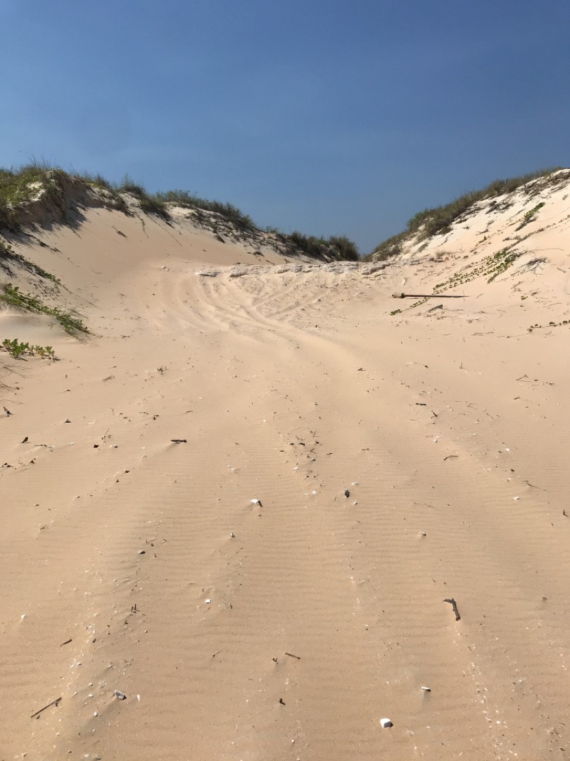 dune-erosion.jpg