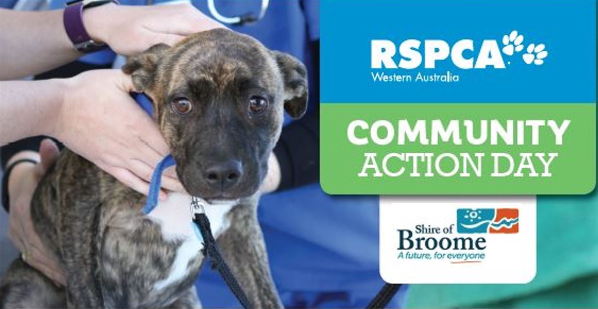 Shire of Broome and RSPCA partner up for your pups Shire of Broome Shire of Broome and RSPCA partner up for your pups Shire of Broome
