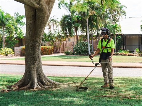 grass cutting 