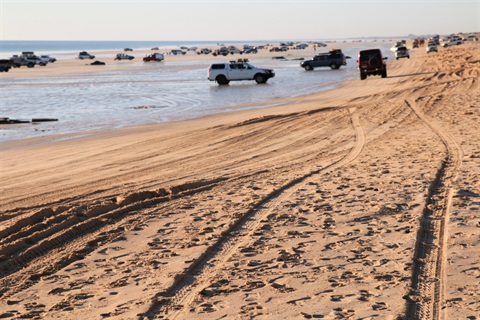 Beach driving Cable Beach