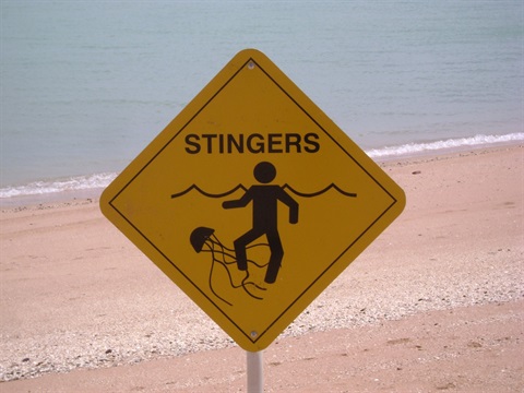 stinger-sign.jpg