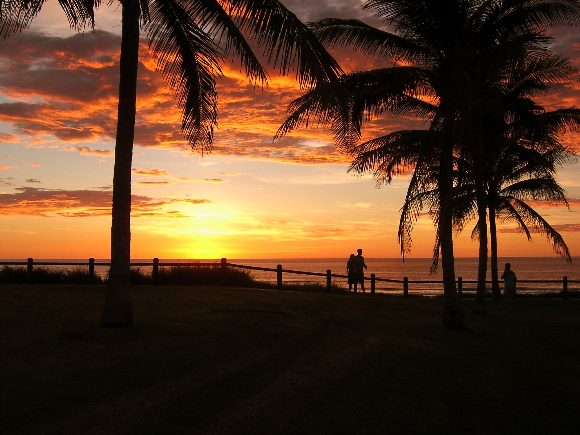 Sunset palms people.JPG