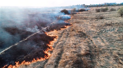 Bushfire.jpg